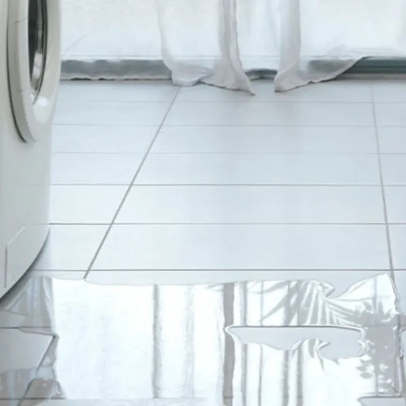 Appliance Leak Cleanup in Davie, FL